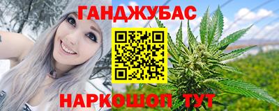 гидра Будённовск
