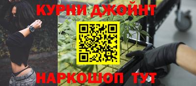 гидра Будённовск