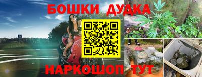 гидра Будённовск