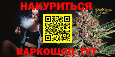 гидра Будённовск