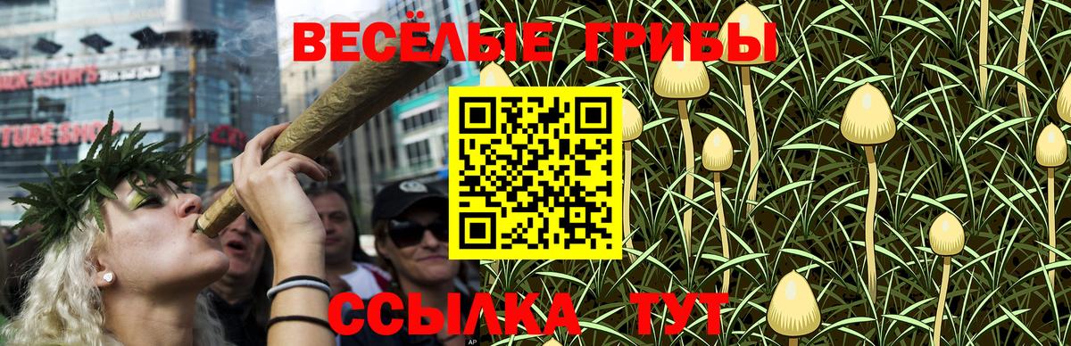 Псилоцибиновые грибы Psilocybine cubensis Отрадный