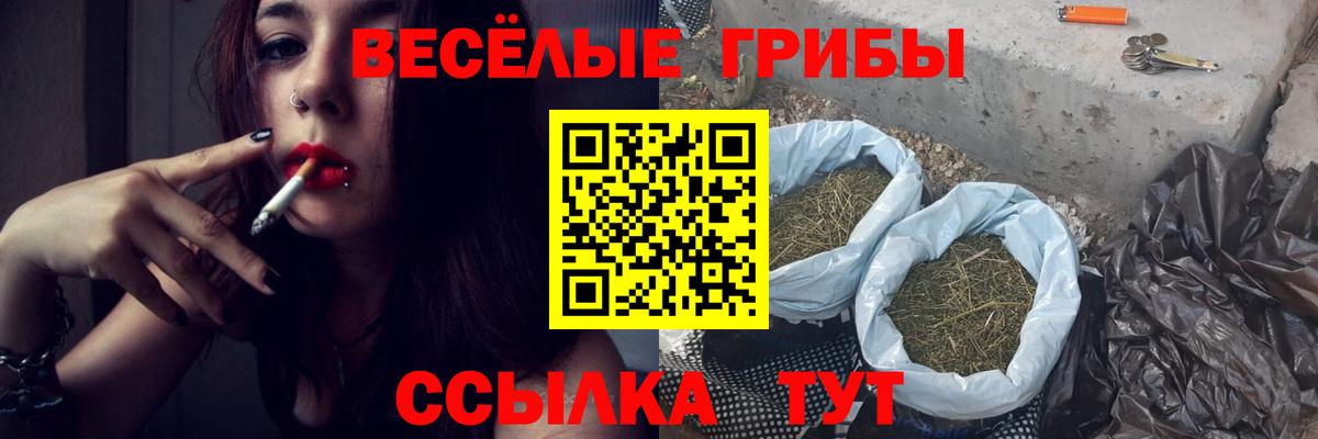 Псилоцибиновые грибы ЛСД  Вход с VPN  Отрадный 